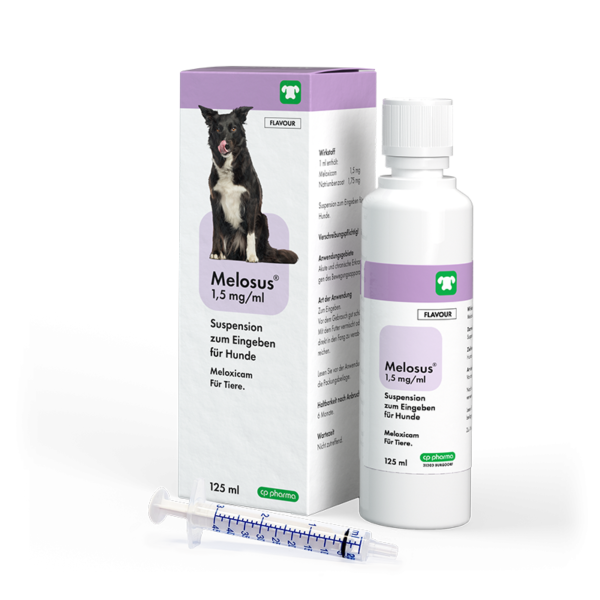 MELOSUS | 1,5 MG/ML SUSPENSION FÜR HUNDE
